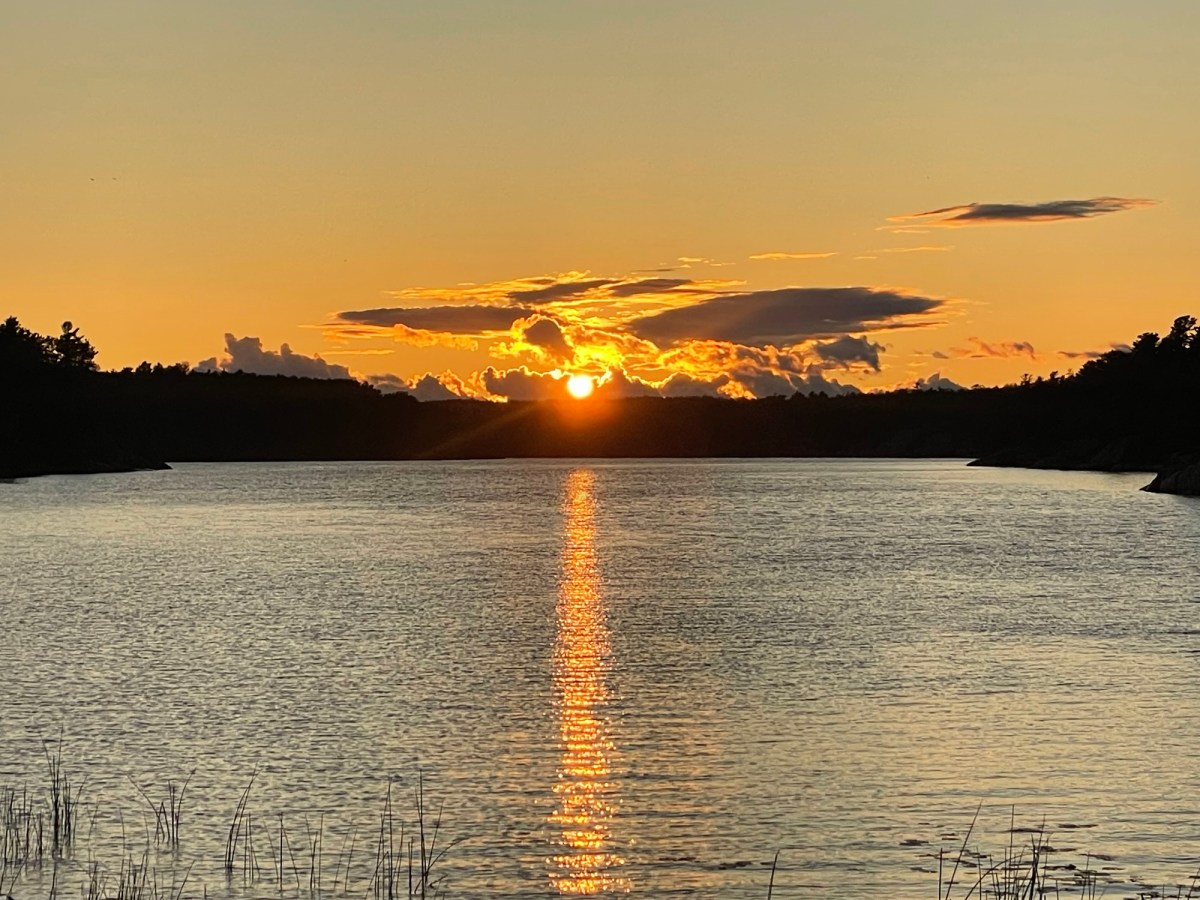 Finding Healing in Nature: A Journey of Resilience